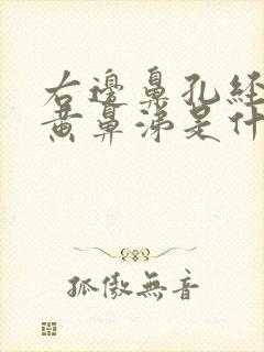 右边鼻孔经常流黄鼻涕是什么原因