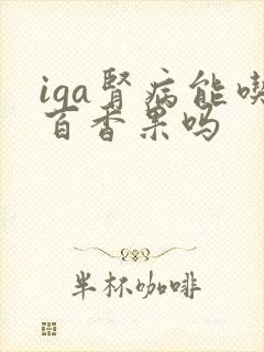 iga肾病能吃百香果吗