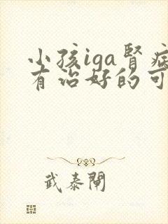 小孩iga肾病有治好的可能吗