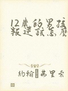 12岁的男孩子叛逆该怎么处理