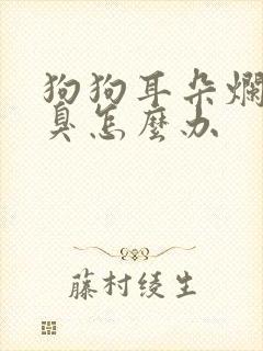 狗狗耳朵烂了好臭怎么办