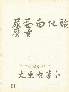 尿蛋白化验单怎么看