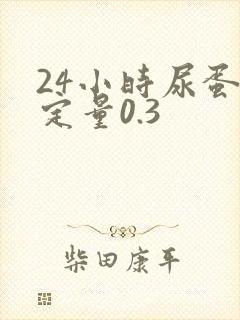 24小时尿蛋白定量0.3