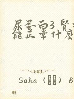 尿蛋白3 肾功能正常什么原因