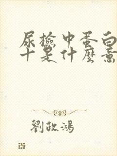 尿检中蛋白质3十是什么意思