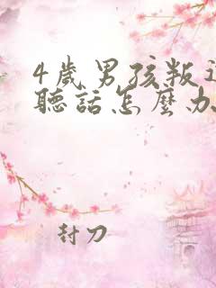 4岁男孩叛逆不听话怎么办