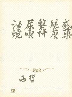 泌尿系统感染发烧吃什么药