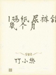 l码纸尿裤能用几个月