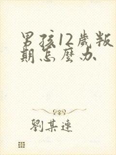 男孩12岁叛逆期怎么办