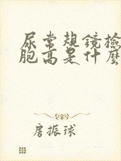 尿常规镜检白细胞高是什么原因