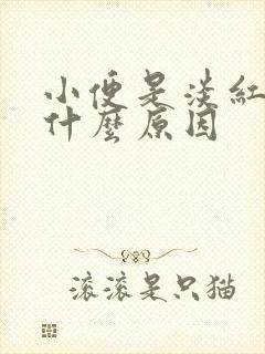 小便是淡红色是什么原因