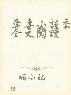 夺妻小说季宴礼全文阅读