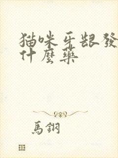 猫咪牙龈发炎吃什么药