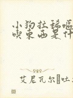 小狗拉稀呕吐不吃东西是什么原因