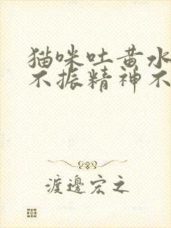 猫咪吐黄水食欲不振精神不好