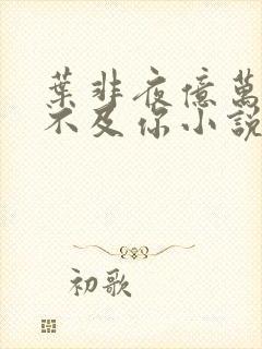 叶非夜亿万星辰不及你小说全文免费阅读