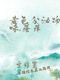 黄色分泌物,异味,瘙痒