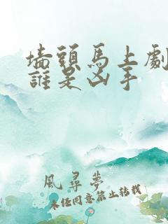 墙头马上剧本杀谁是凶手