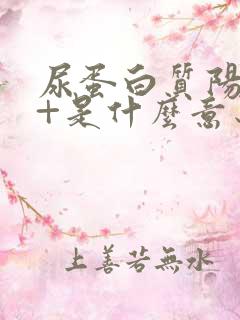 尿蛋白质阳性3+是什么意思,严重吗