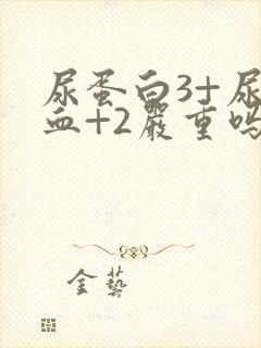 尿蛋白3+尿潜血+2严重吗