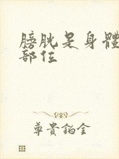 膀胱是身体哪个部位