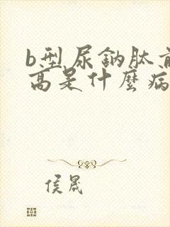 b型尿钠肽前体高是什么病