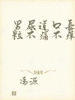 男尿道口长小肉粒不痛不痒