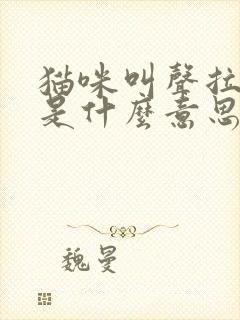 猫咪叫声拉长音是什么意思