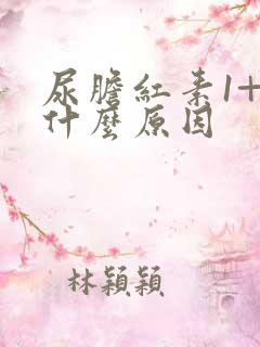 尿胆红素1+是什么原因