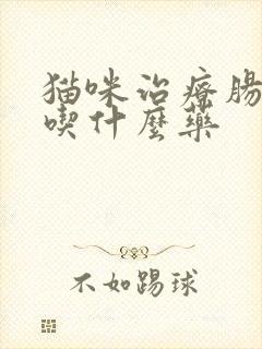 猫咪治疗肠胃炎吃什么药