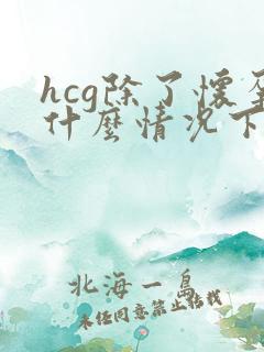 hcg除了怀孕什么情况下会高