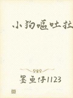 小狗呕吐拉血便