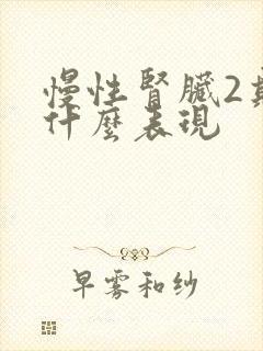 慢性肾脏2期是什么表现