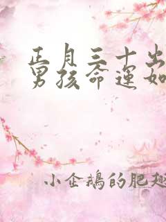 正月三十出生的男孩命运如何