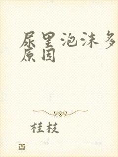 尿里泡沫多什么原因