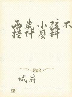 两岁小孩不说话挂什么科