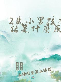 2岁小男孩不说话是什么原因