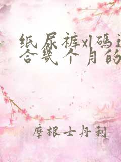 纸尿裤xl码适合几个月的宝宝