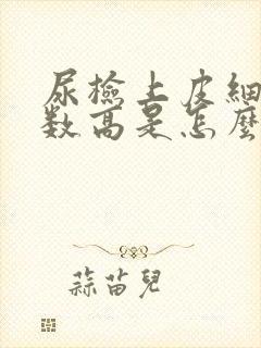 尿检上皮细胞计数高是怎么回事