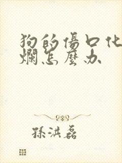 狗的伤口化脓溃烂怎么办