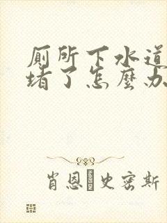 厕所下水道被屎堵了怎么办