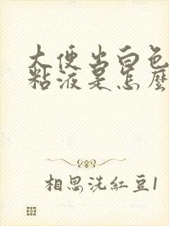 大便出白色透明粘液是怎么回事