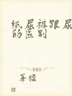 纸尿裤跟尿不湿的区别