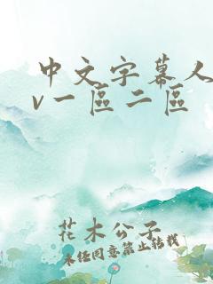 中文字幕人妻av一区二区