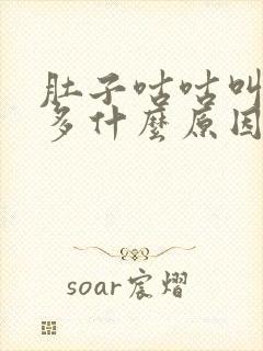 肚子咕咕叫放屁多什么原因