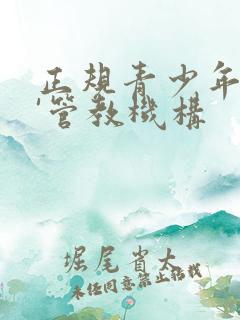 正规青少年叛逆'管教机构