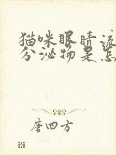 猫咪眼睛流黄色分泌物是怎么回事