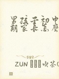 男孩子初中叛逆期家长怎么办