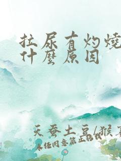 拉尿有灼烧感是什么原因