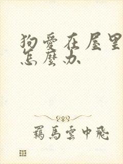 狗爱在屋里乱尿怎么办